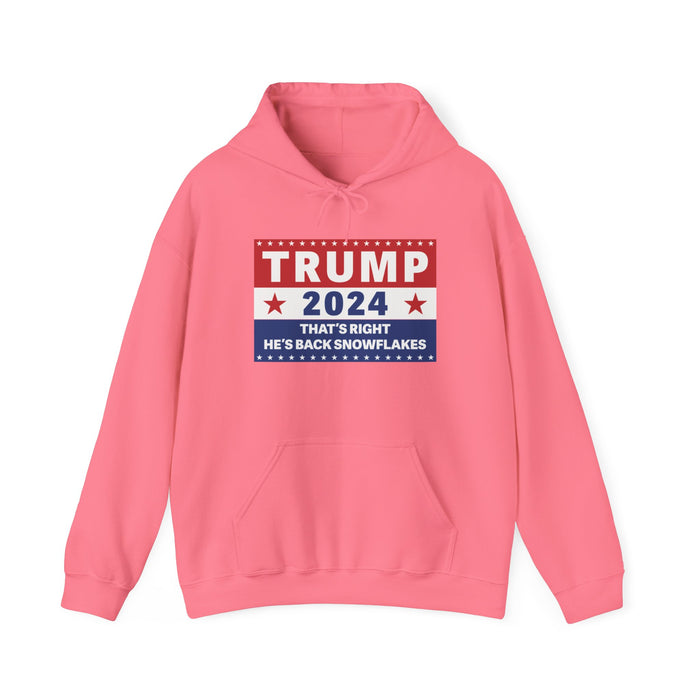 Trump 2024 That's Right, He's Back Snowflakes Hoodie