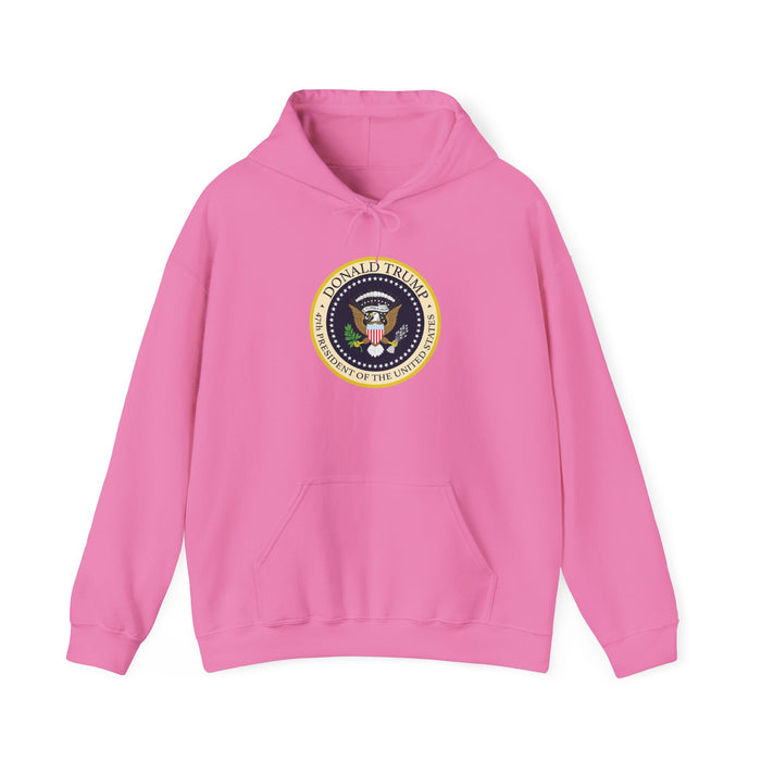 Donald Trump 47th President of the United States Hoodie