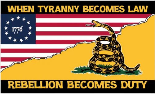 1776 Don't Tread on Me "When Tyranny Becomes Law" 3'x5' Flag - PatriotDepot.com