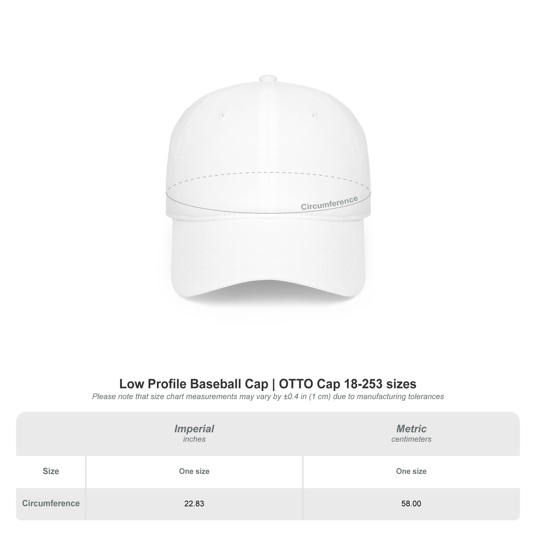 Lake America est 2026 Custom Embroidered Hat