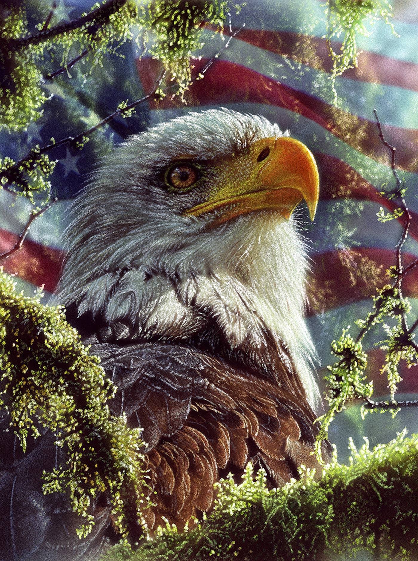 Eagle USA Colors USA 1000 - Piece Jigsaw Puzzle | Art by Colin Bogle - PatriotDepot.com