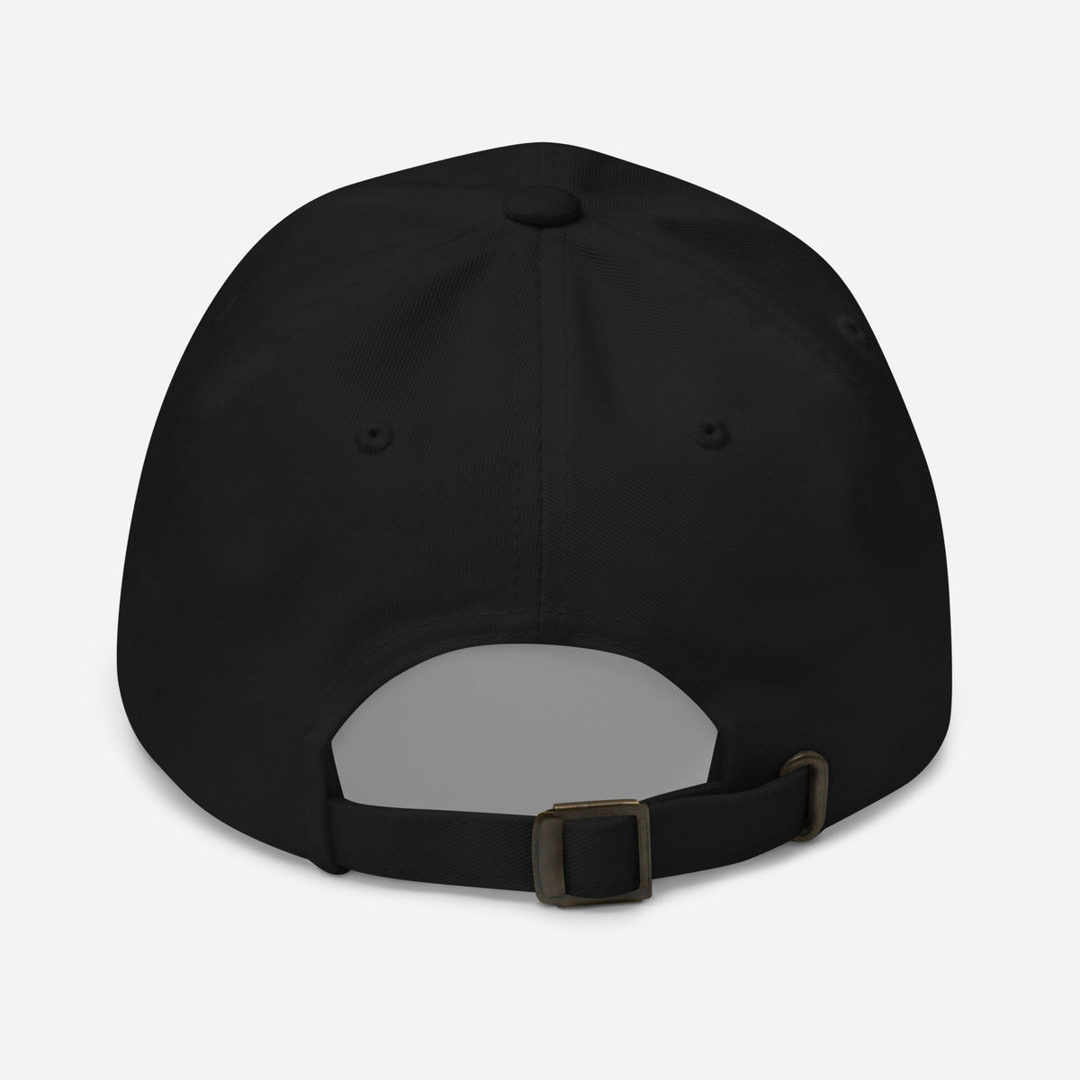 Exclusive Lake Ontario "Identifies as Lake America" Embroidered Hat - PatriotDepot.com