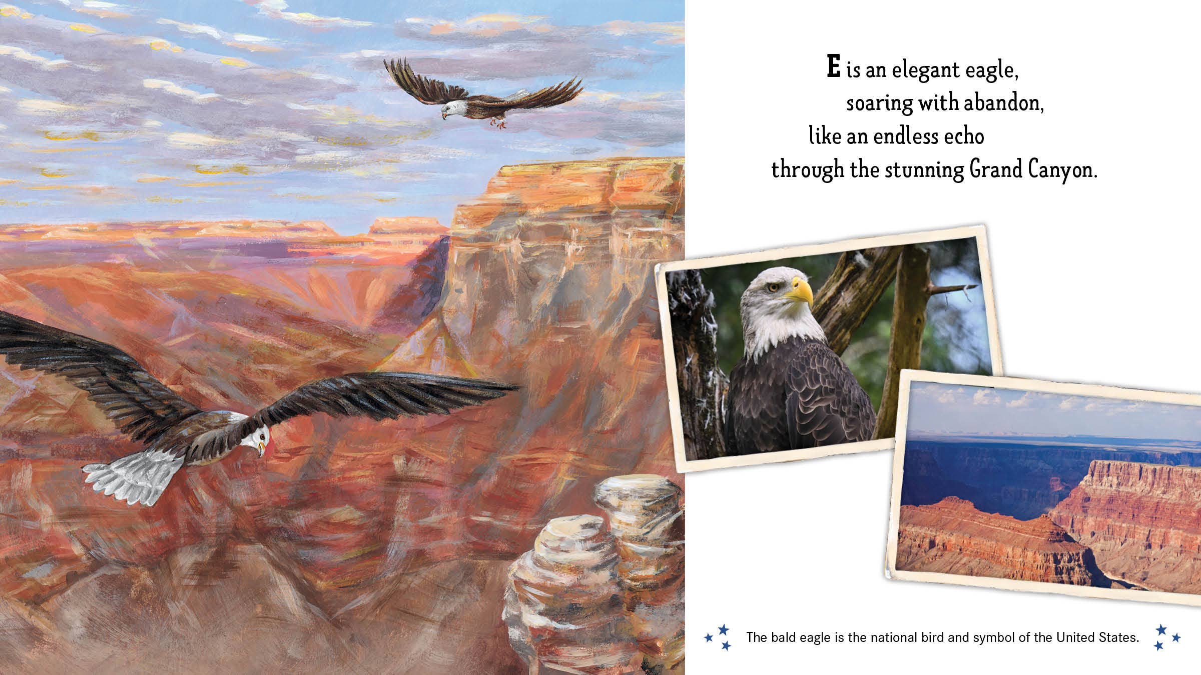 Land of the Free: America's ABC | Patriotic Alphabet Picture Book - PatriotDepot.com