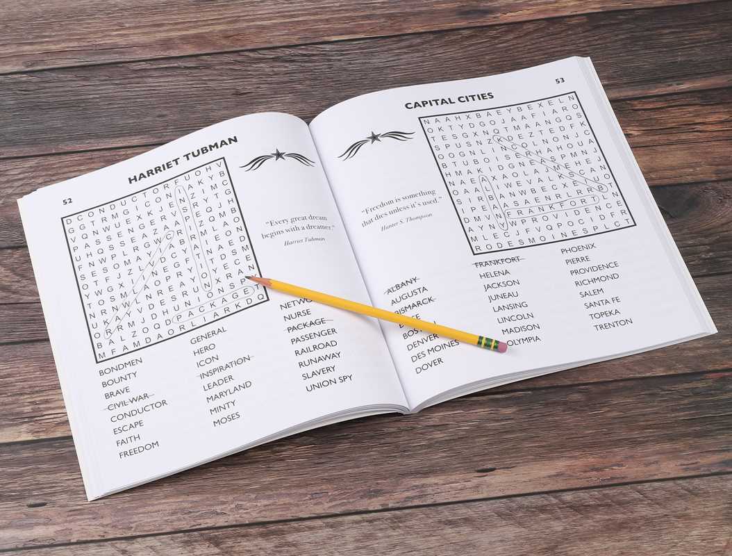 Stars and Stripes Word Search | Large Print Puzzle Book - PatriotDepot.com