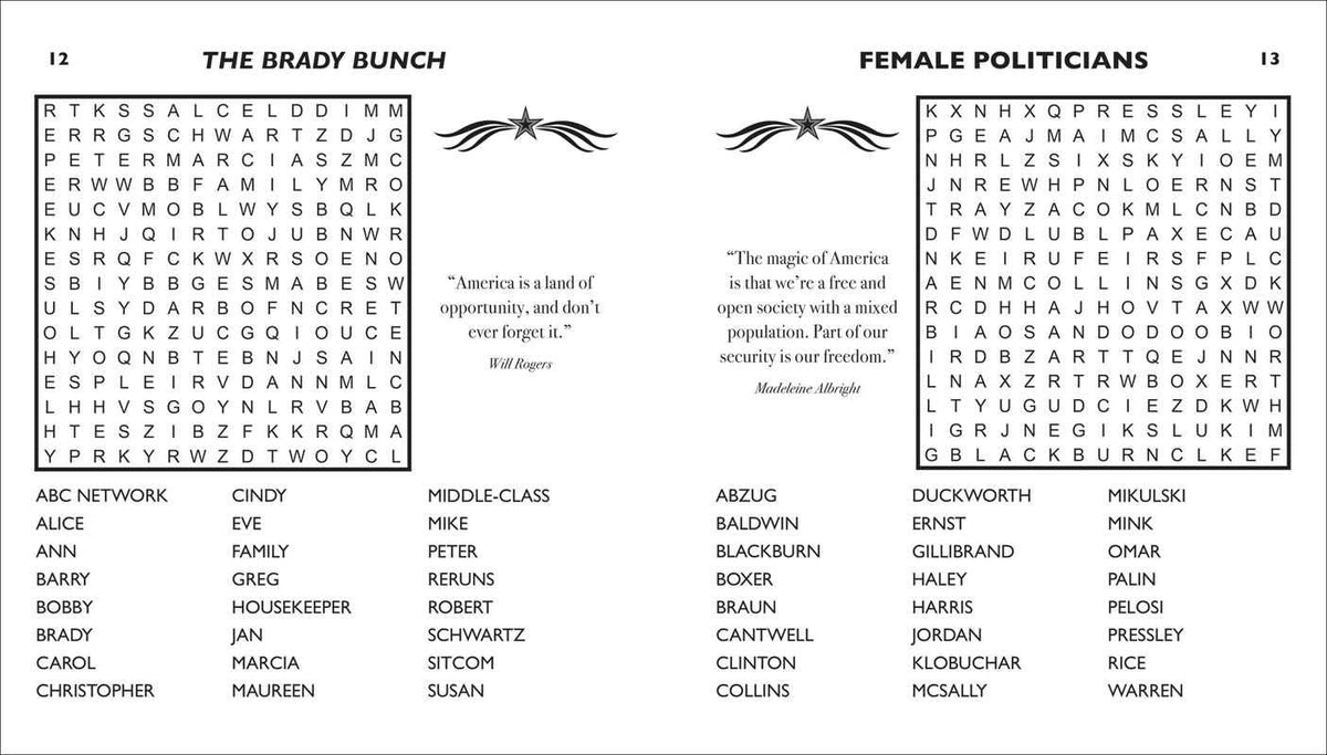 Stars and Stripes Word Search | Large Print Puzzle Book - PatriotDepot.com