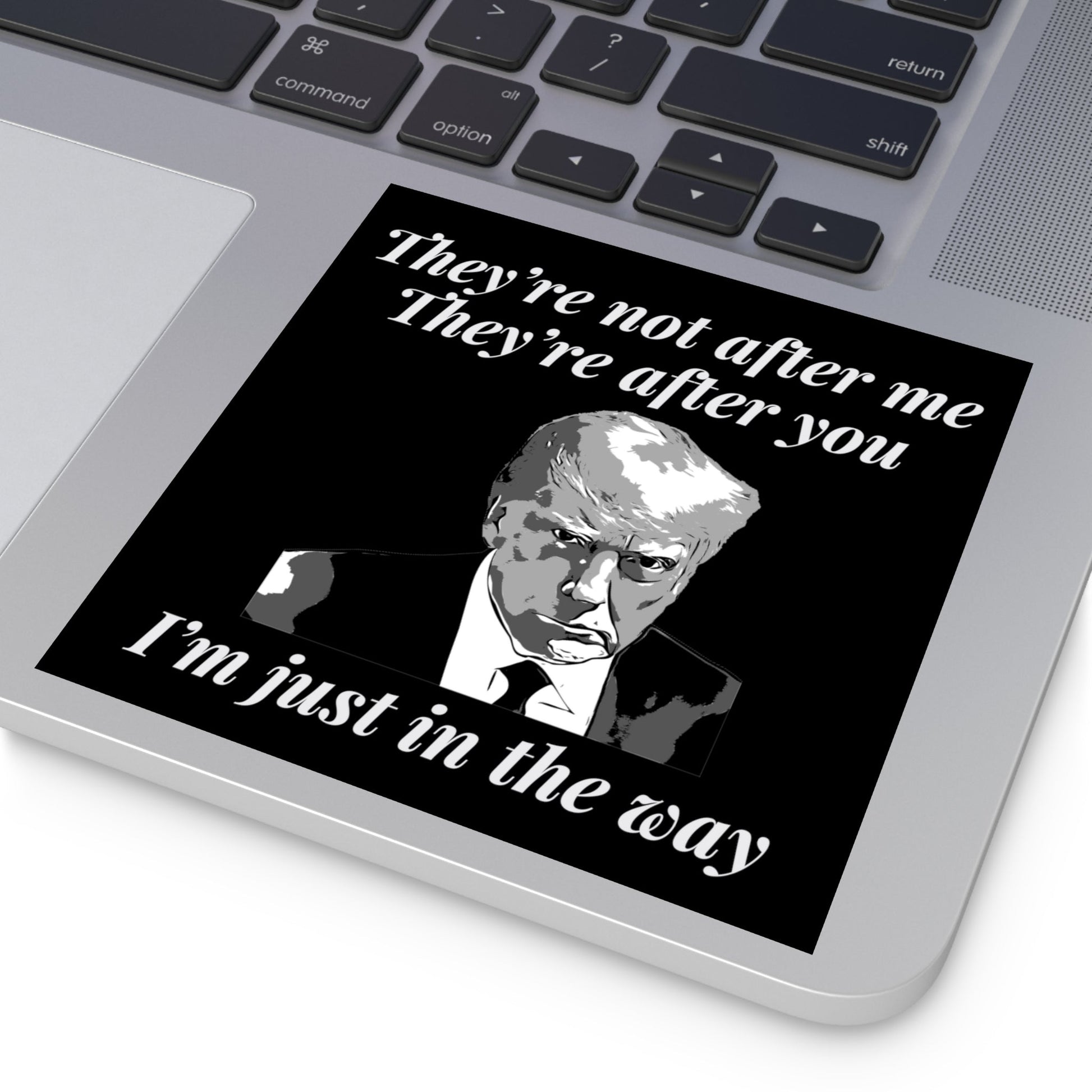 Trump Mugshot "They're Not After Me. They're After You. I'm Just In The Way" Sticker (3 Sizes) - PatriotDepot.com