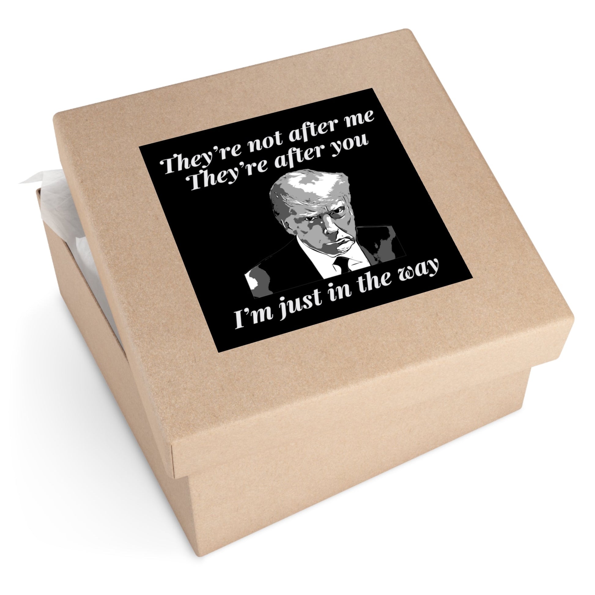 Trump Mugshot "They're Not After Me. They're After You. I'm Just In The Way" Sticker (3 Sizes) - PatriotDepot.com