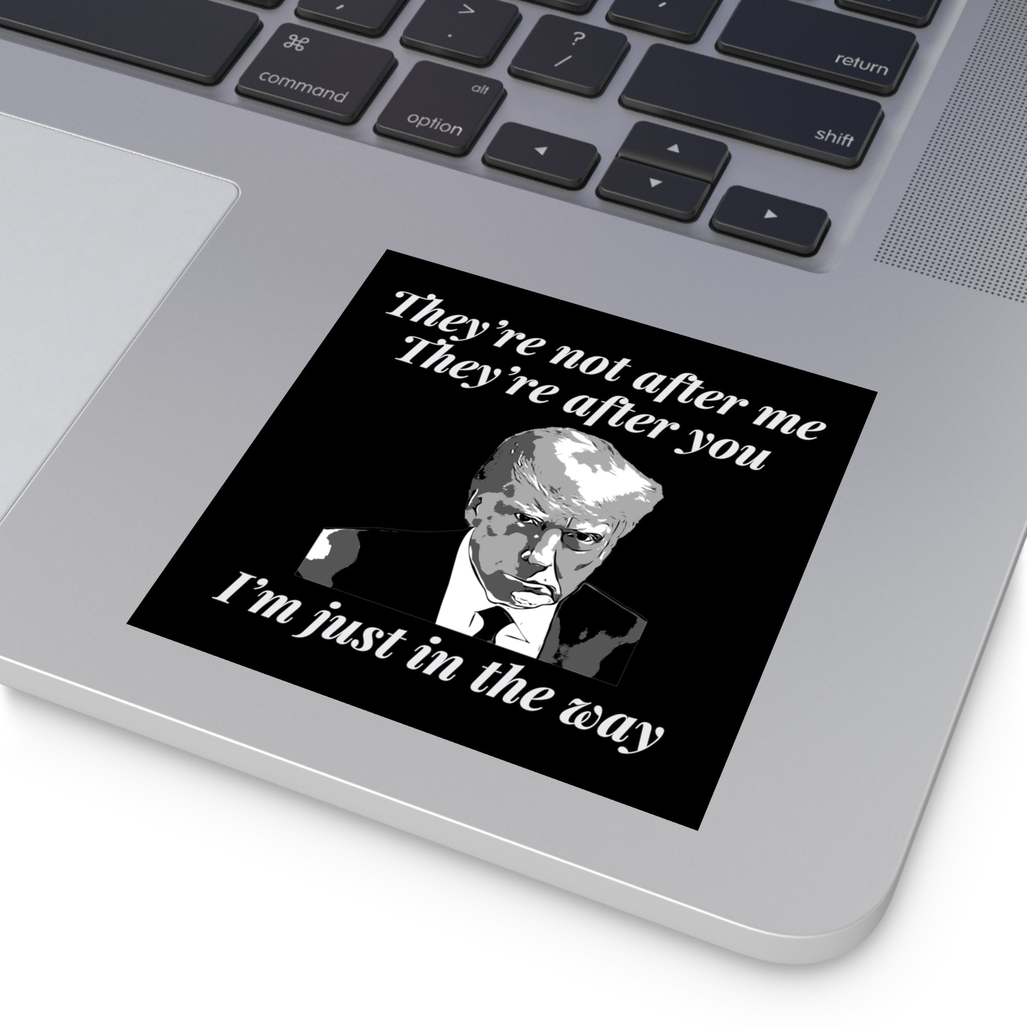 Trump Mugshot "They're Not After Me. They're After You. I'm Just In The Way" Sticker (3 Sizes) - PatriotDepot.com