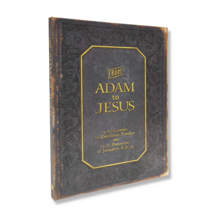 From Adam to Jesus: Creation to Crucifixion (Hardback) Book