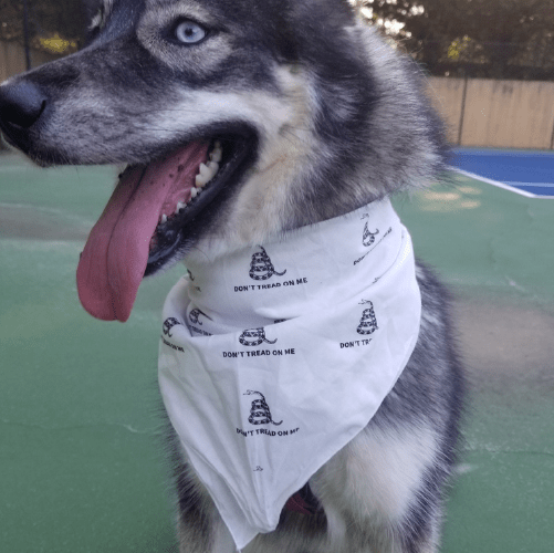 Dog Bandanas - PatriotDepot.com