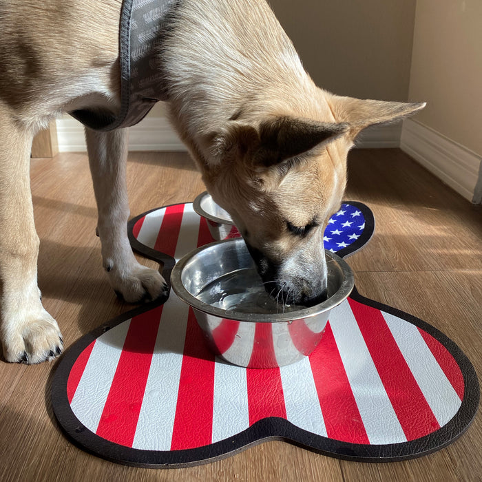 USA Flag Dog Bowl Mat