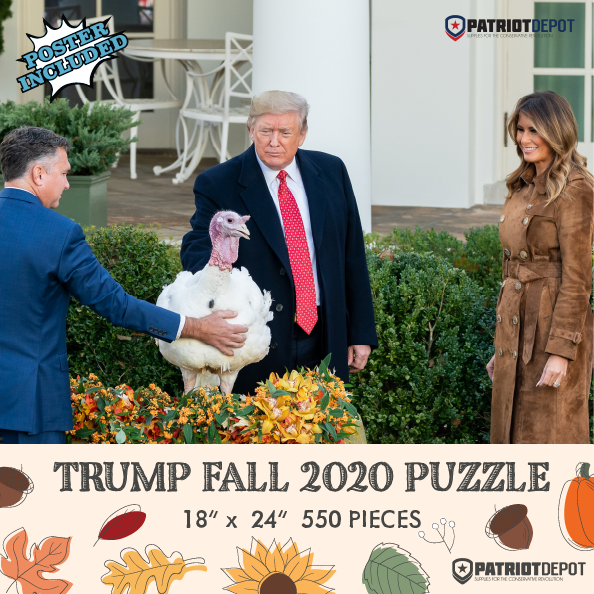 Trump 2020 Fall Puzzle