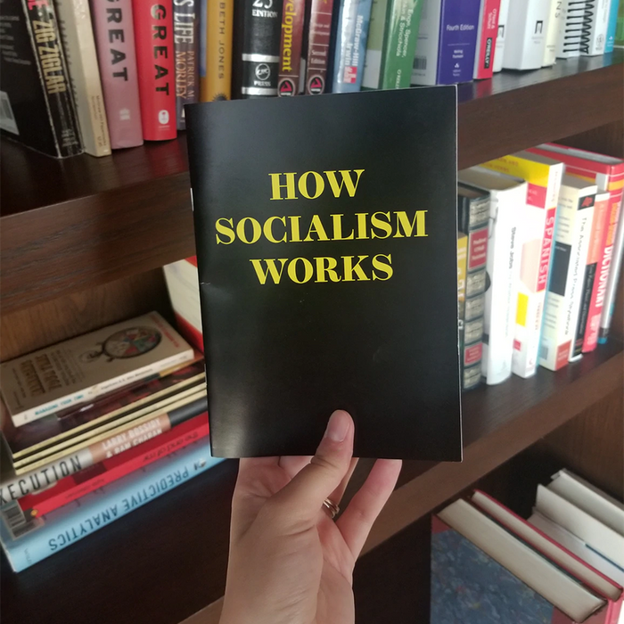 "How Socialism Works" (Satire) Booklet