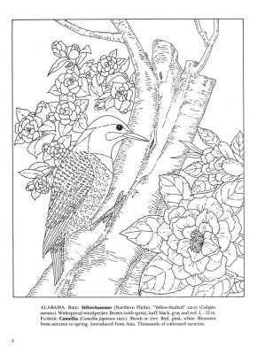 State Birds and Flowers Coloring Book - PatriotDepot.com