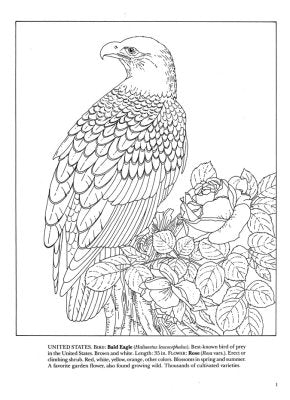 State Birds and Flowers Coloring Book - PatriotDepot.com