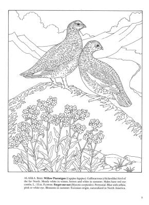 State Birds and Flowers Coloring Book - PatriotDepot.com
