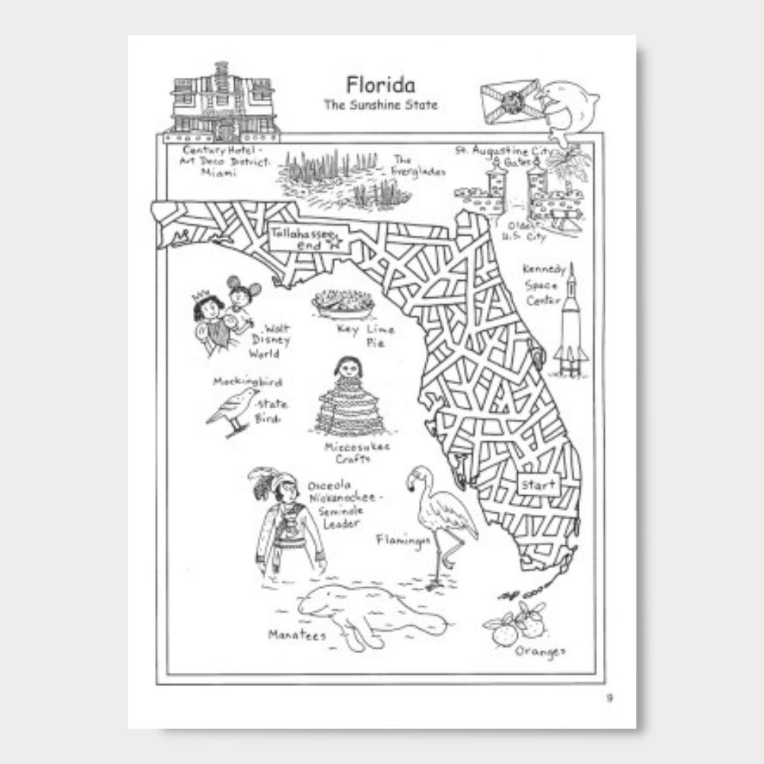 United States Maze Craze Activity Book - PatriotDepot.com